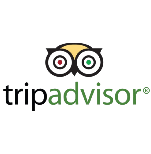tripadvisor large logo 